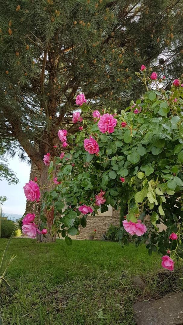 Bed and Breakfast Relais De Navon Saint-Joseph  Exterior foto